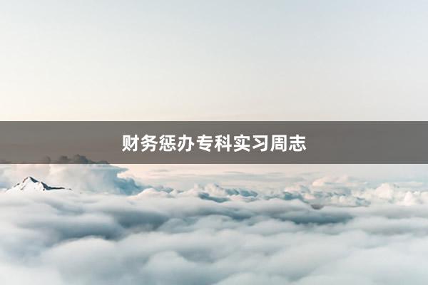 财务惩办专科实习周志